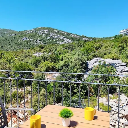 Kata * Neum